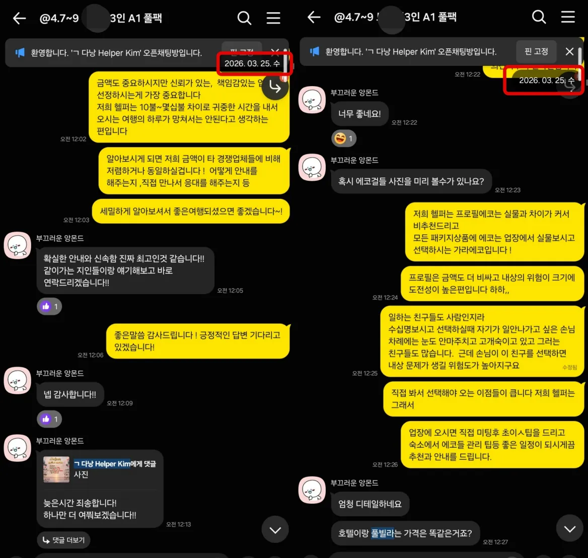 2026년 3월 25일 다낭 3인 여행을 준비하며 호텔과 풀빌라 차이 및 현지 서비스 방식을 상담한 실제 대화